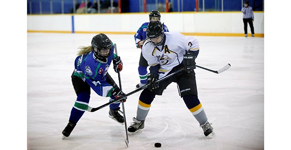 Hockey
