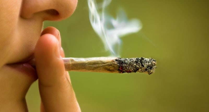 cannabis