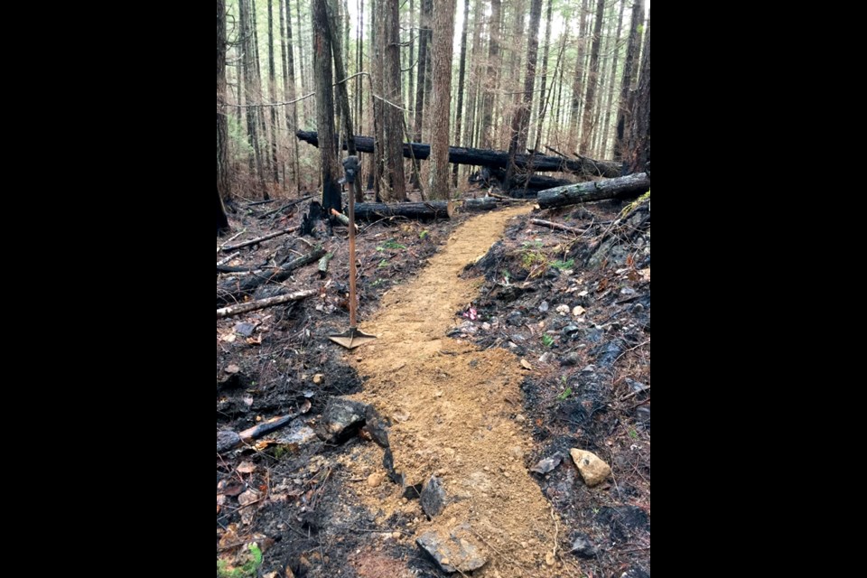 Members of the mountain biking community came together to work on a new trail that runs through the burnt-out area close to Wormy Lake.