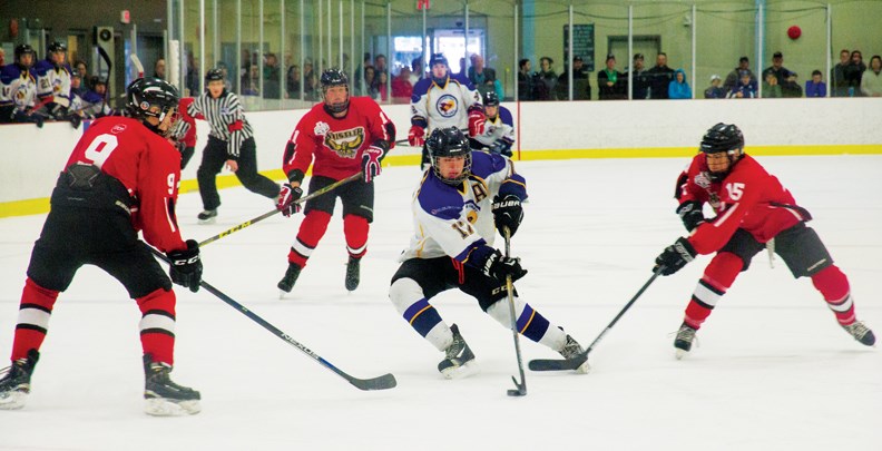 hockey