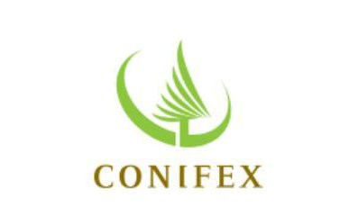 conifex