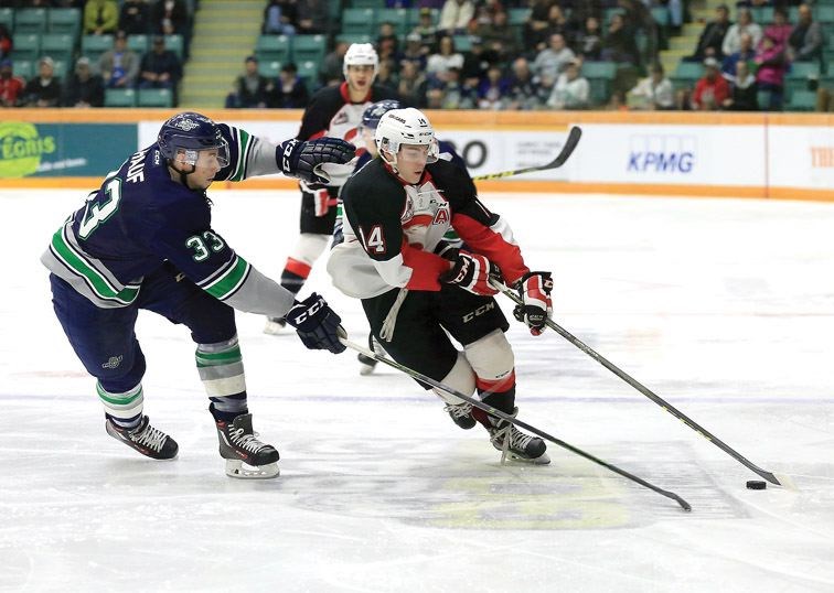 SPORT-CougarsGame3.jpg