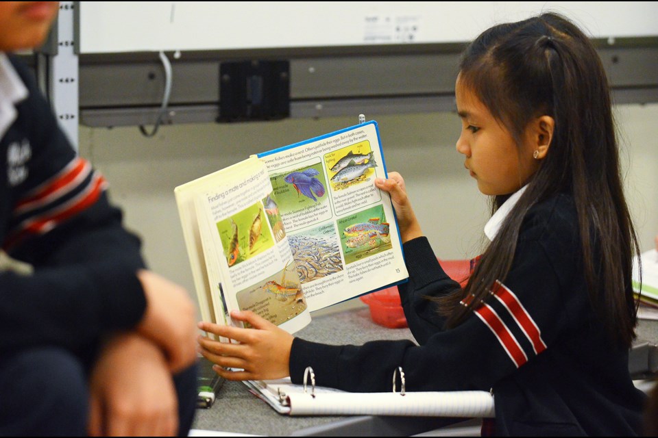 St. Michael’s Elementary School Grade 3 student Yeonja Nazareno researches her topic, fish, during Learning in Depth time at her school Wednesday afternoon.