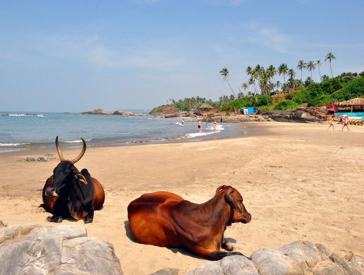Where to eat, visit and stay in Goa, India | Food and Travel Magazine