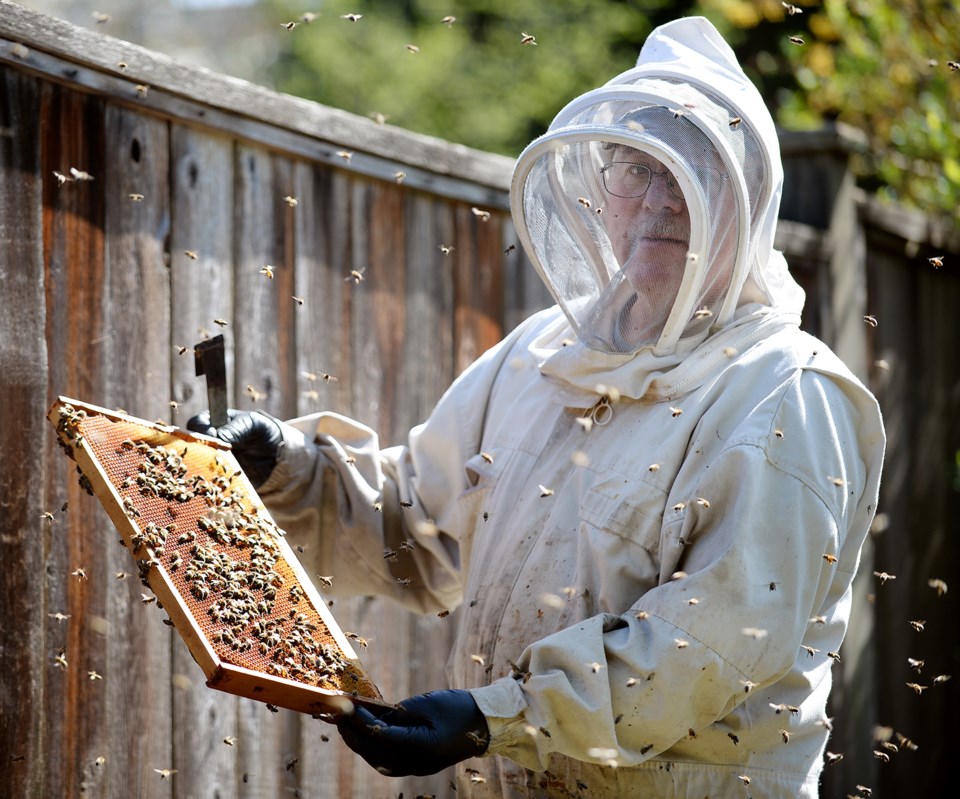 honeybees