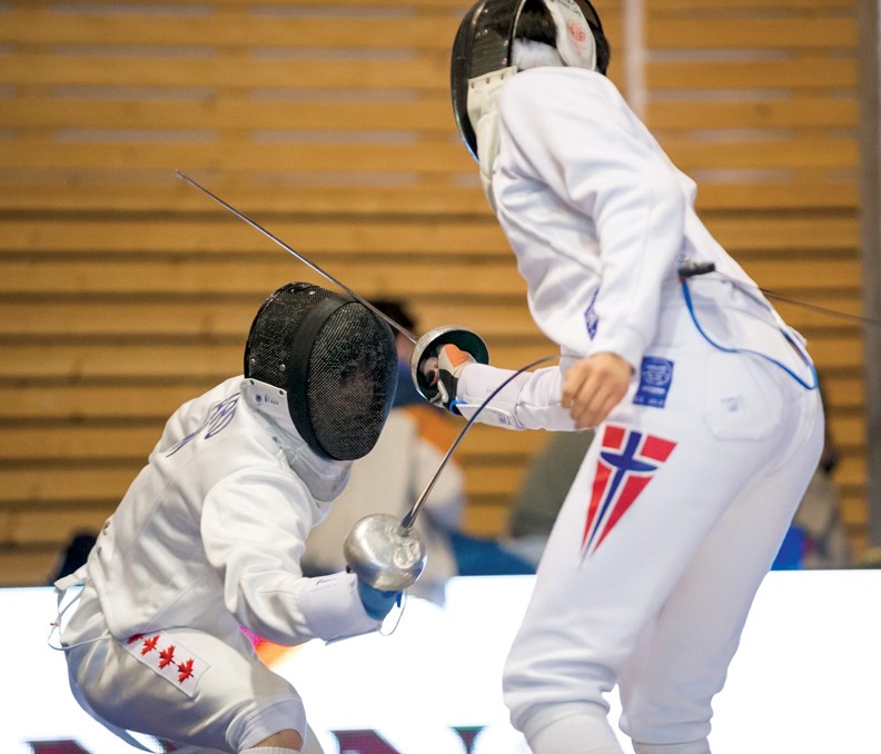 fencing