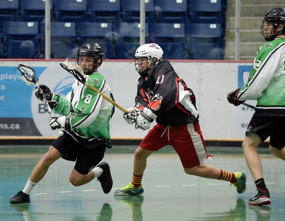 intermediate lakers
