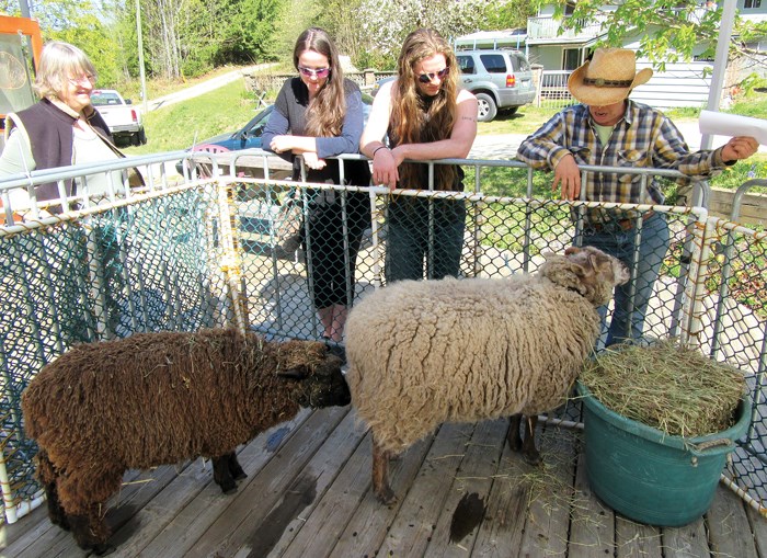 Kate Skinner (right) talks about her sheep and sheep dog training with visitors.