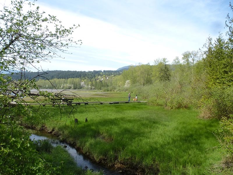 Port Moody First Nations