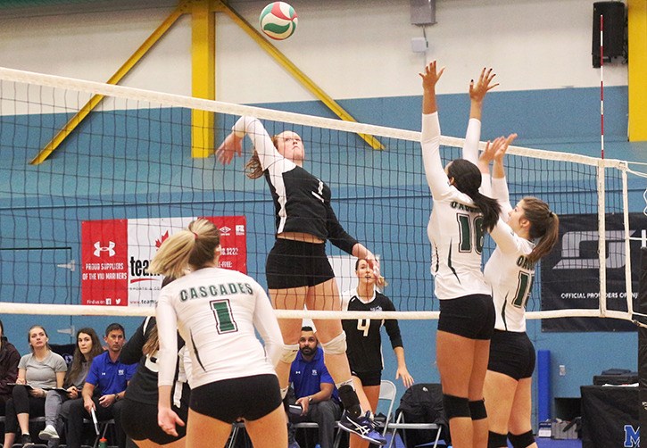 Volleyball