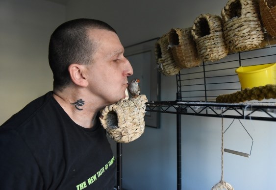 Reporter Sandra Thomas won second place for Best Feature Series for her stories about pets in the Downtown Eastside. Pictured is Roy Mackintosh and Squirt the finch as they share a moment in his DTES suite. All of Mackintosh’s finches have names, although Squirt is one of the tamest of the bunch as he hand-raised him from a baby. Photograph by: Rebecca Blissett