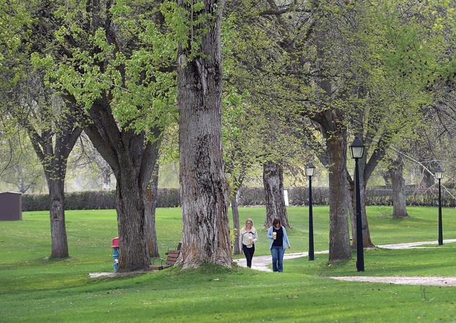 A couple of walkers stroll through Lheidli T'enneh Memorial Park Monday afternoon. Parks are officially open today almost two weeks ahead of scheduale again this year. Citizen photo by Brent Braaten April 18 2016
