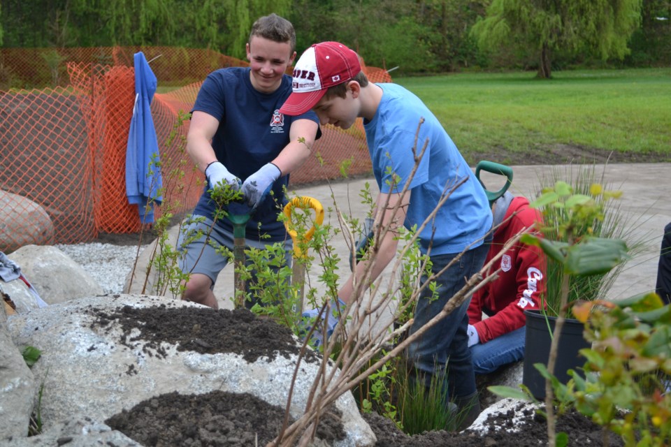 Greenery: Volunteers recently helped plant two rain gardens near the Brunette River in Hume Park.