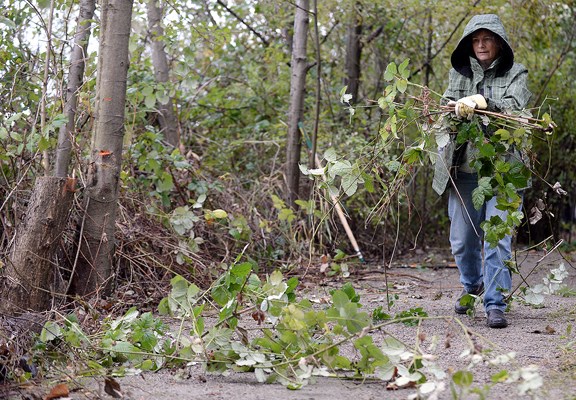 New Westminster Environmental Partners