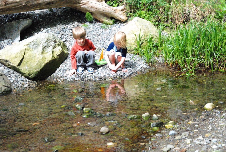 Salmon stream