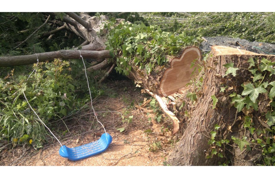 tree bylaw