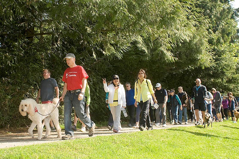 Hospice Walk