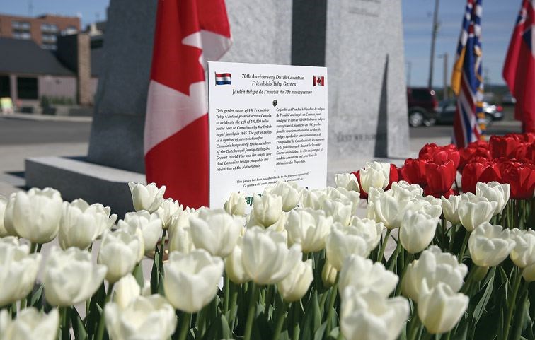 The 22nd Annual Dutch Canadian Tulip Commemoration took place on Saturday at Veterans Plaza in front of Prince George City Hall. The annual event is held by the local Dutch community to commemorate the liberation of Holland from German occupation on May 5, 1945 by Canadian soldiers. Citizen Photo by James Doyle     April 30, 2016