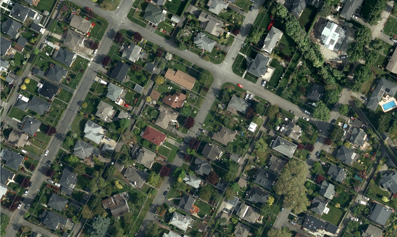Aerial view of Oak Bay houses - photo