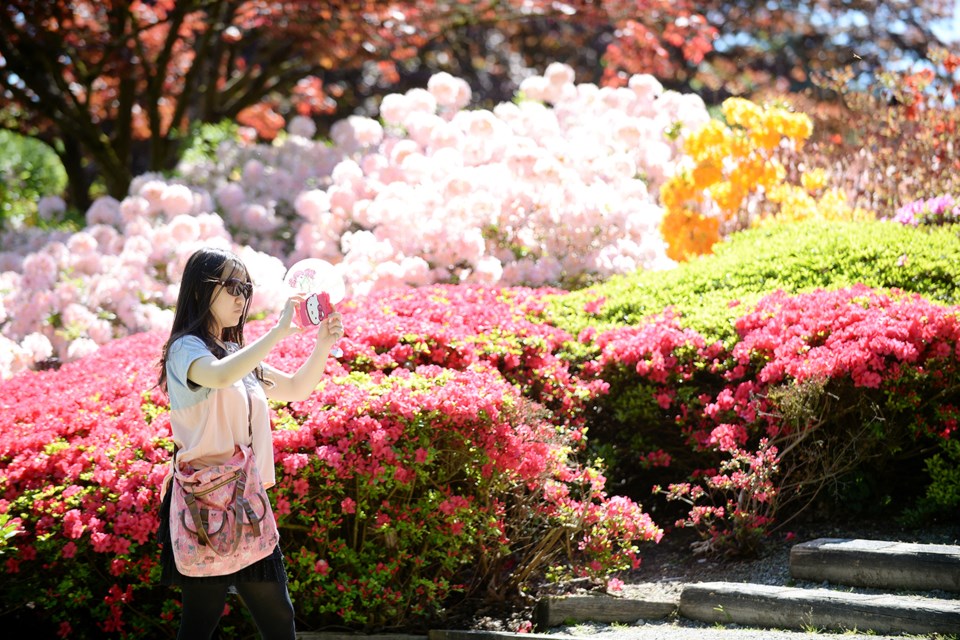 A festivalgoer stops to capture the beauty of Deer Lake Park.