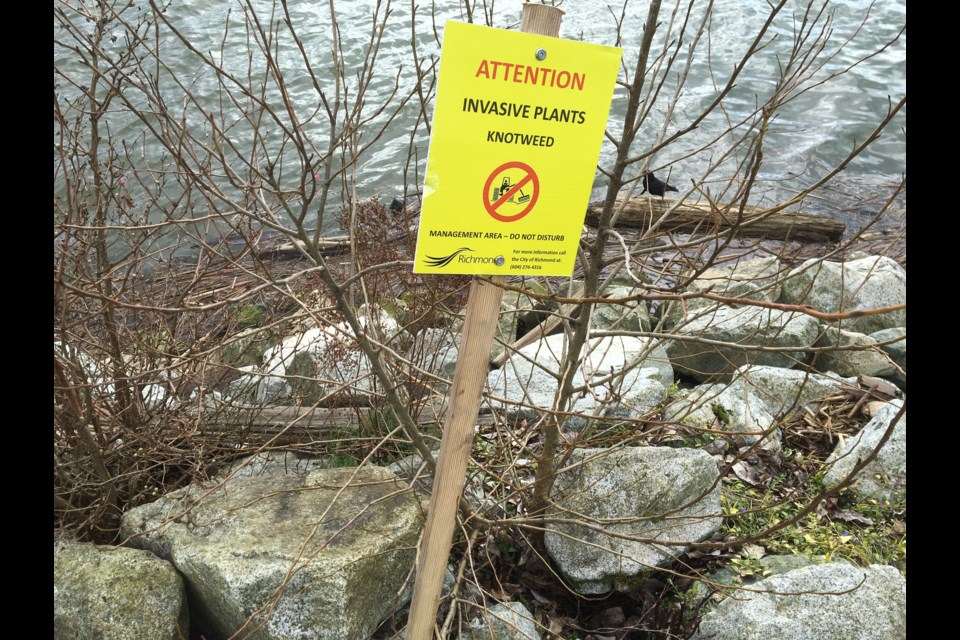The city is holding public awareness events about invasive species during the month of May.