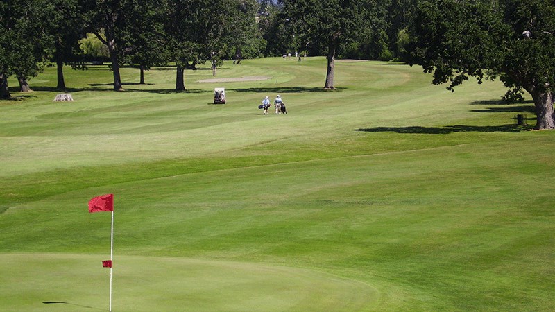 glen meadows