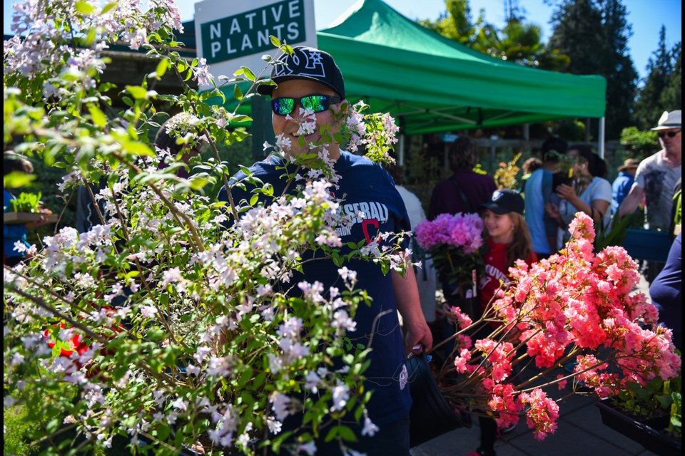 Thom Cannell walked his new leafy purchase with daughter Summer Cannell in tow. The Cannells were just some of the many who attended the UBC Botanical Garden’s annual plant show “A Growing Affair” Saturday. Photograph by: Rebecca Blissett