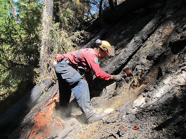 FireSmart grant for SLRD