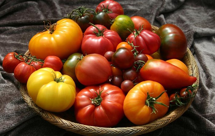 tomatoes