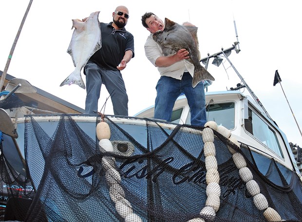 Halibut Festival