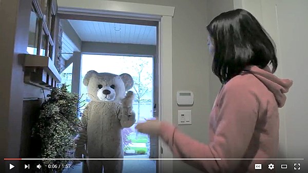 Bear smart