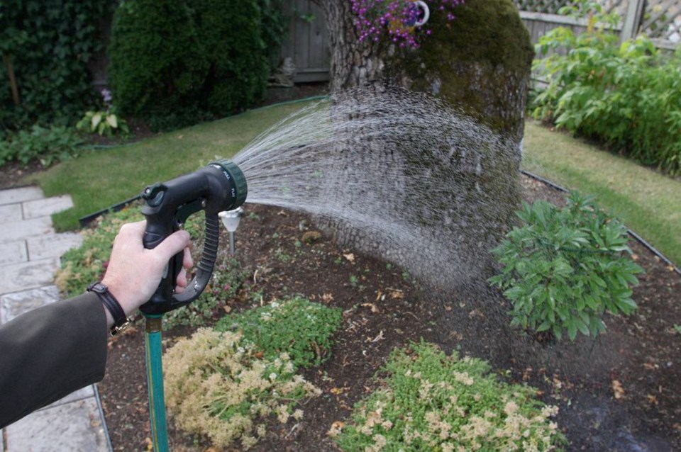 Photo - watering garden
