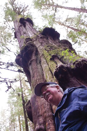 forest ecologist