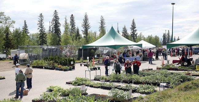David-Douglas-plant-sale.20.jpg
