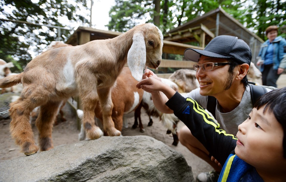 052316_PettingFarm04.jpg