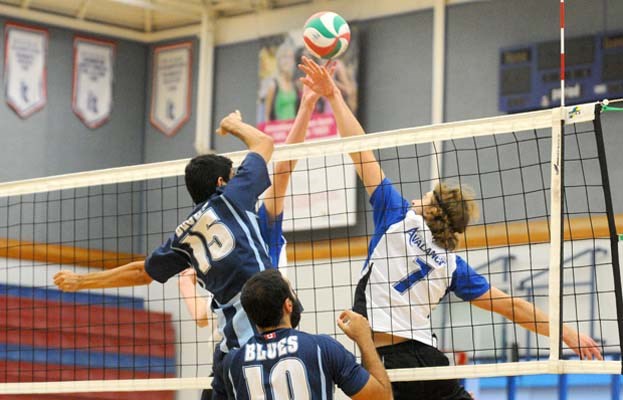 Capilano Blues men's volleyball team versus College of the Rockies Avalanche.