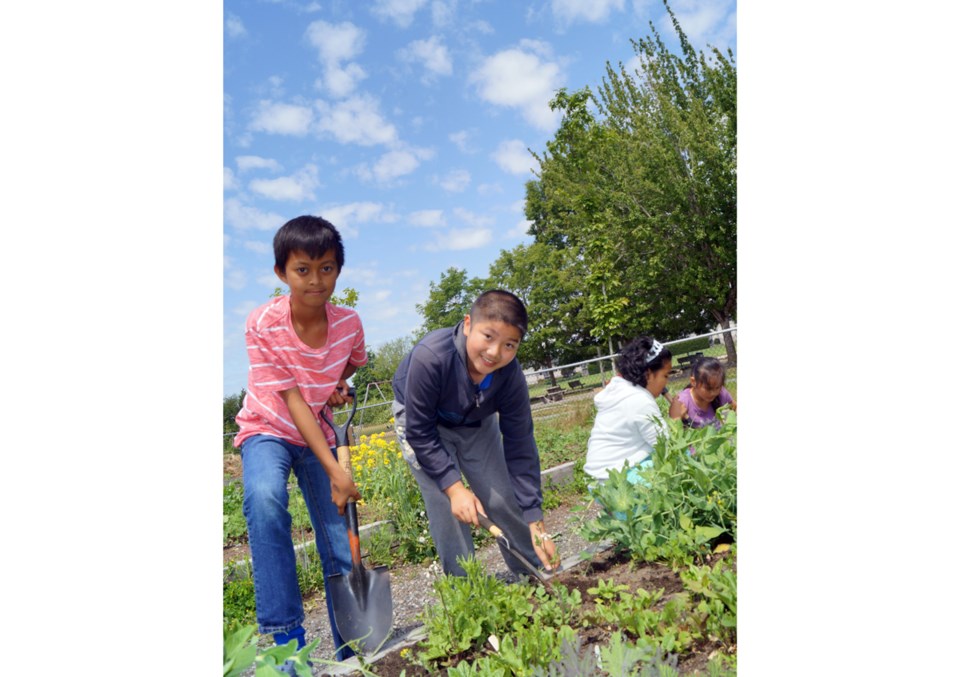Brighouse school garden
