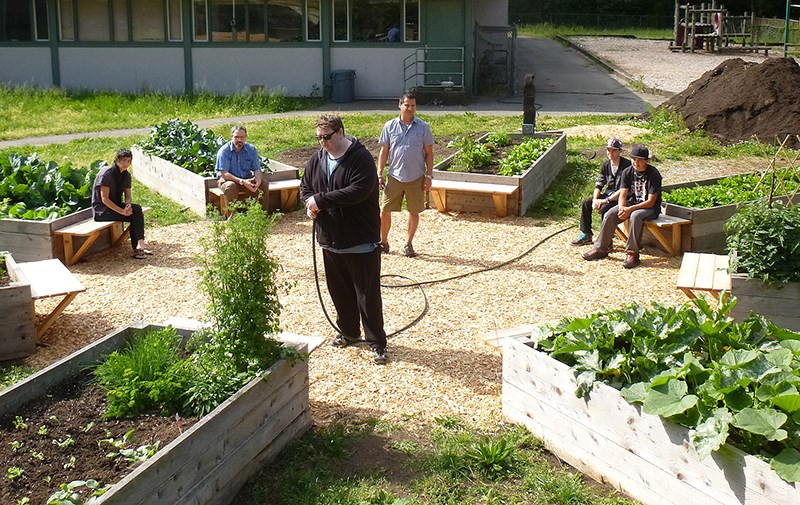 Medicine Wheel garden