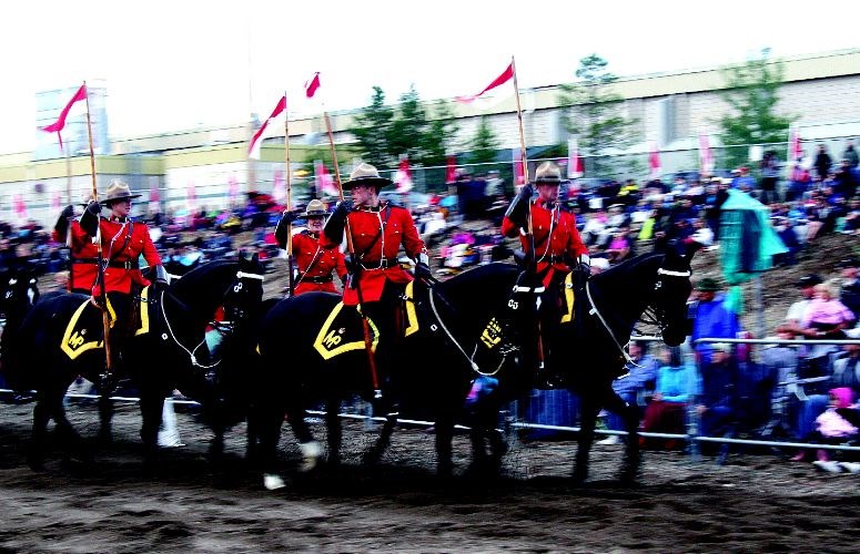 RCMP-name-the-foal.03.jpg