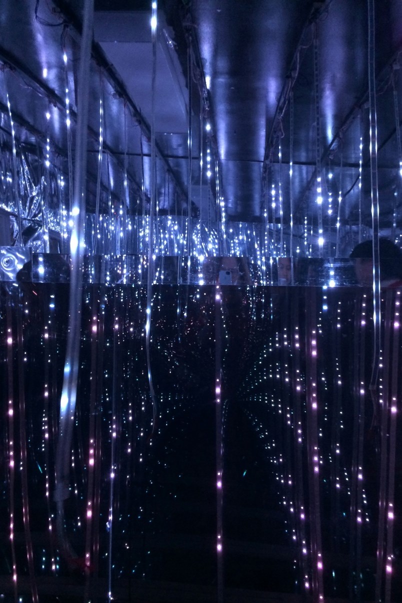 Ron Simmer, infinity room, Deer Lake Gallery