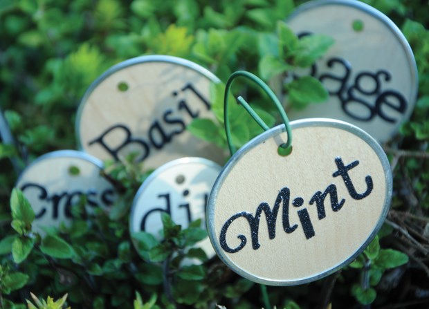 Differentiate herbs in creative fashion