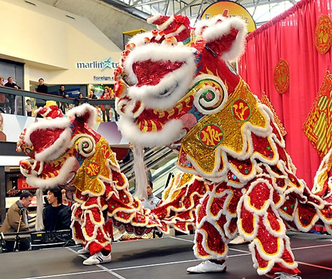 Members of the CLF Kung Fu Club peform a Lion Dance at Park Royal to celebrate the Year of the Dragon.