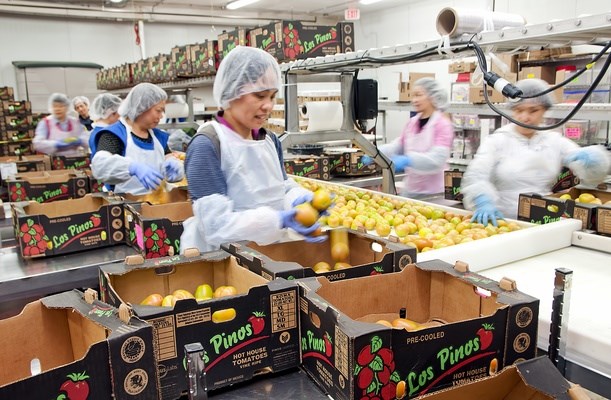 produce row