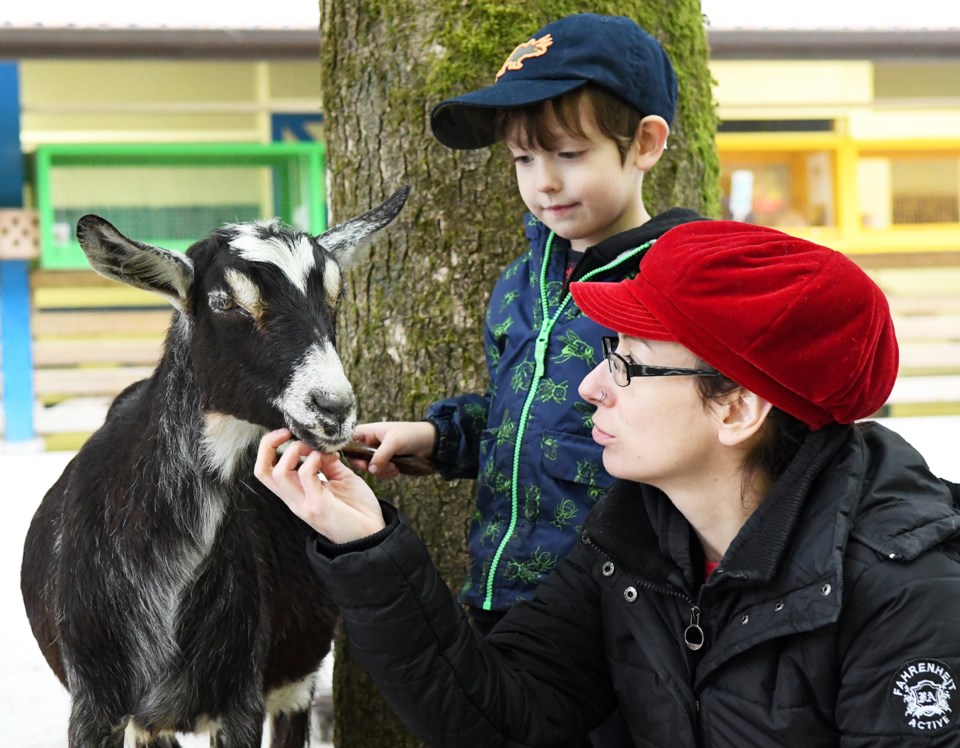 Queen's Park, petting farm