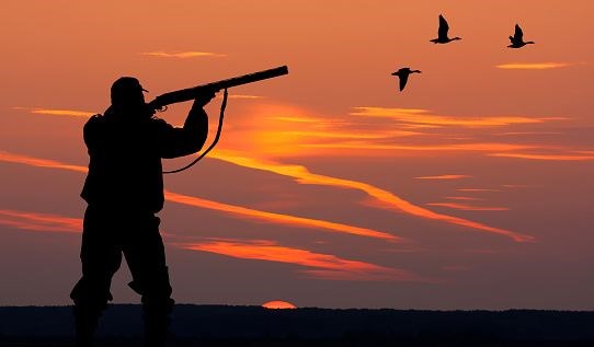 hunting-trapping-synopsis.1.jpg
