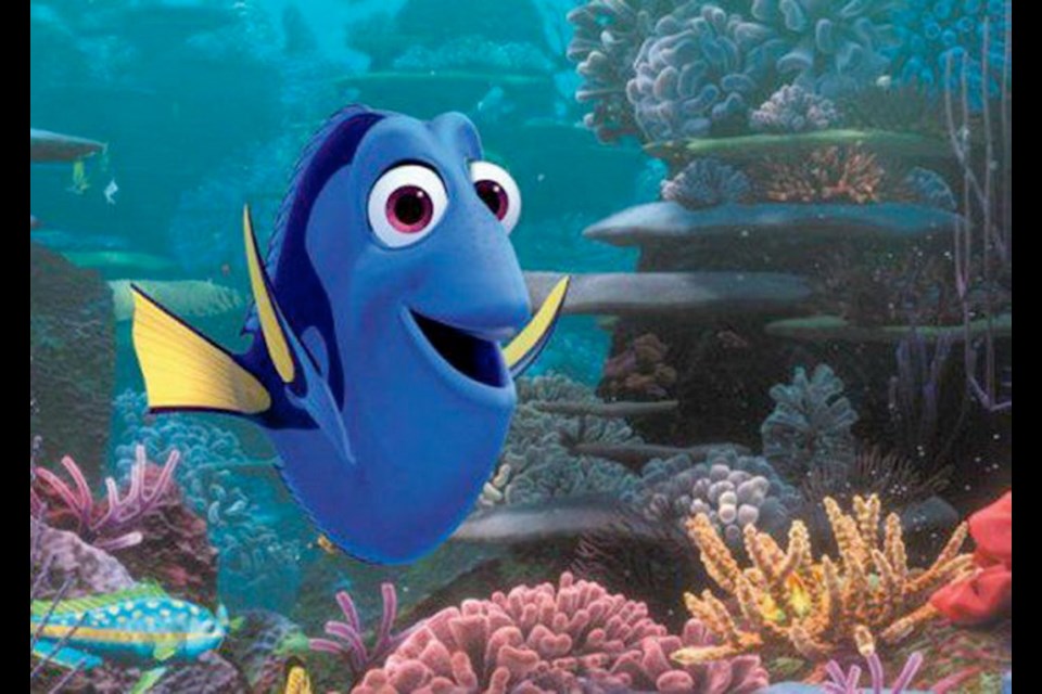 Finding Dory, which features the voices of Ellen DeGeneres and Albert Brooks, surpassed expectations to take in $136.2 million in North American theatres.