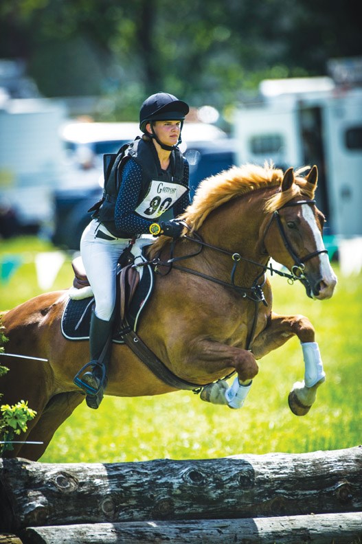 equestrian