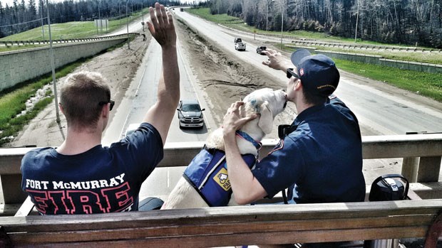 Caber licks a firefighter as they welcome residents back to Fort McMurray after a wildfire ravaged the northern Alberta city.