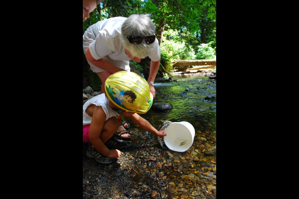 Coho release-2016