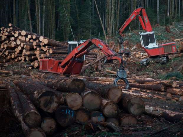 softwood-lumber-update.21.jpg